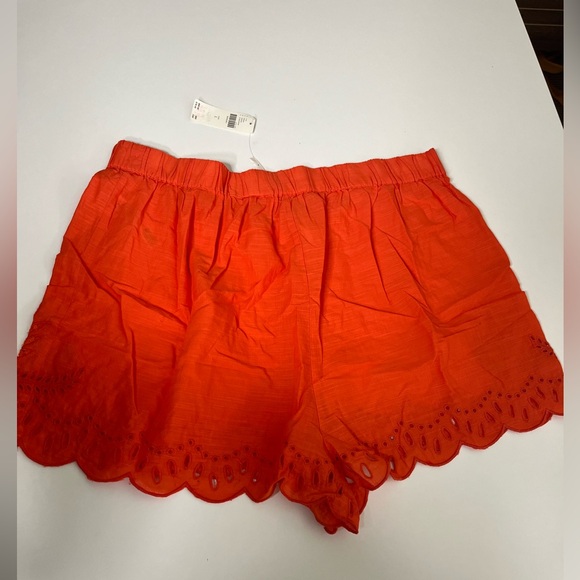 NWT Anthropologie Eyelet Cover-Up Shorts 100% Cotton Sz Large - Picture 12 of 12